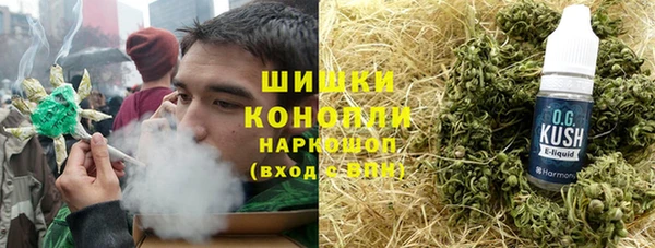 PSILOCYBIN Вяземский