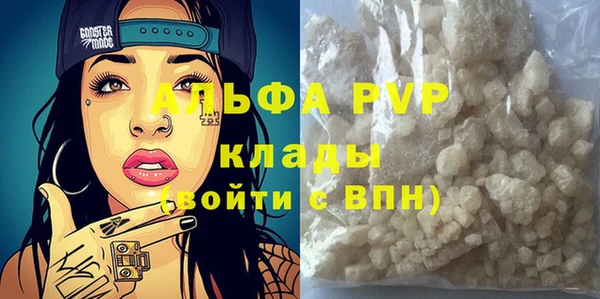 PSILOCYBIN Вяземский
