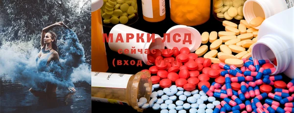 PSILOCYBIN Вяземский