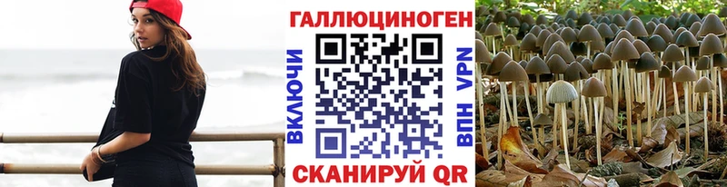 Галлюциногенные грибы MAGIC MUSHROOMS  Купить закладки  Зеленодольск 